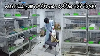 Small fancy rabbit farm in Pakistan||fancy rabbit business in Pakistan||Rabbit farms||Asim Faiz