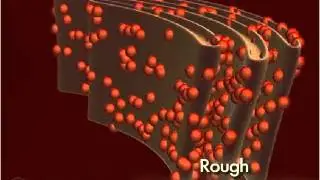 Endoplasmic Reticulum (Rough) 3-D