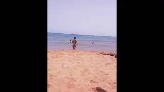 Plonge jijel 2017