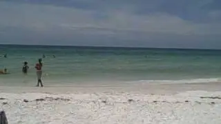 The Gentle Surf