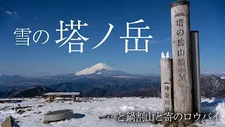 【日帰り登山】雪の塔ノ岳と鍋割山に登って寄で満開のロウバイを見てきました