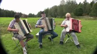 I granskogen(folkmusikfestival Tyresta Haninge 20120825)
