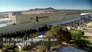 Bio Pappel la empresa que salva &aacute;rboles