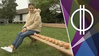 Igaz vagy hamis? - Makó (M2 Matricák)