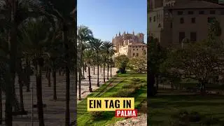Ein Tag in Palma. Drei Tipps f&uuml;r die Metropole Mallorcas.
