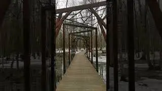 ASMR Sounds of the spring forest 🤍 #asmr #spring #soundofnature