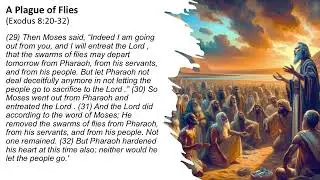 Chronological Bible Study - (Exodus 8:1-32) 1/15/26
