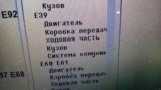 Синхронизация EWS ключа  через программу  INPA  на бмв  е60 530 D3 с   мотором    м57 TU