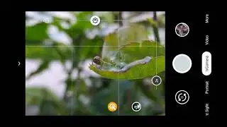 gcam macro photo or video shoot