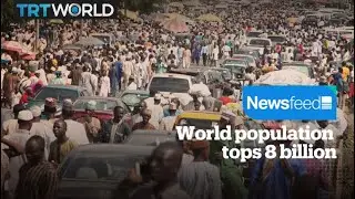 World population tops 8 billion