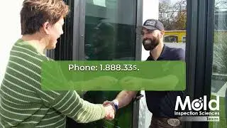 Quick, Caring, and Professional: A Look at Our Mold Inspection Process