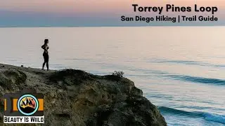 Torrey Pines State Beach Loop: The Best Coastal Hike in San Diego
