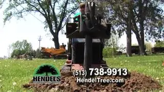 Hendel's Affordable Tree Service (Commercial)
