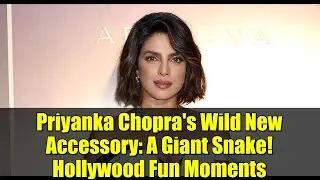 Priyanka Chopra's Wild New Accessory: A Giant Snake! Hollywood Fun Moments