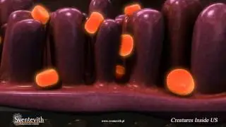Creatures Inside US - Sventevith Animation Studio