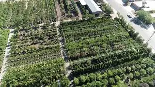 Moon Valley Nurseries Phoenix