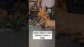 Every Indian mom who doesn&rsquo;t want a dog ❤️