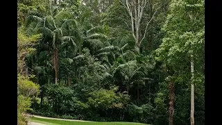 Maroochy Bushland Botanic Garden - Ephemeral Wetlands
