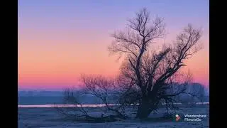 Sweet Dreams| batch bug| Lofi Music| Background Music #sweetdreams #batchbug #lofibackgroundmusic