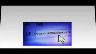 SHREE ESTATE AGENCY NO.11