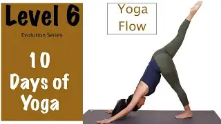 Level 6 - Yoga For Beginners - Yoga Flows - Evolution Series - Yogbela
