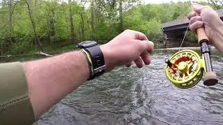 Tight Lining On The Little Juniata - Nymphing For Browns
