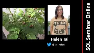 Helen Tai - Solanaceae and The Colorado potato beetle (Leptinotarsa decemlineata)