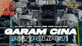 DJ PET POLIPET PARTY VIRAL TIKTOK 2025 ❗ KIDUL KALI PROJECT 🎵