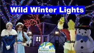 Cleveland Zoo Wild Winter Lights - 2023 - Walkthrough, Characters, and more!