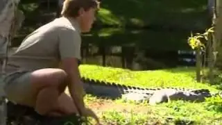 Crocodile hunter gets hand bitten by...well a crocodile
