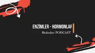 Enzimler - Hormonlar Podcast- #Biyoloji #podcast