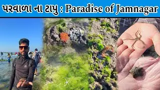 Narara Island Jamnagar | Gujarat | Marine National Park