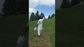 Donga Gali Murree