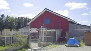 North Toronto K9 Centre - Dog Kennel & Training Facility