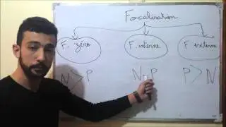 La focalisation,C'est facile! expliquée même dans deux minutes...