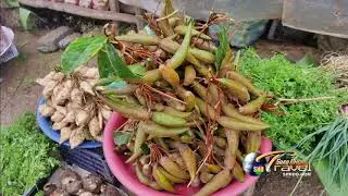 SUAB HMONG TRAVEL:  Highlight COMING UP 2017-18 Travel in Laos and Thailand