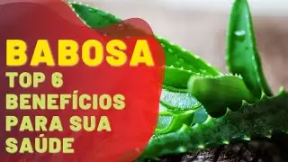 6 Benef&iacute;cios da Babosa para Pele e Cabelo!