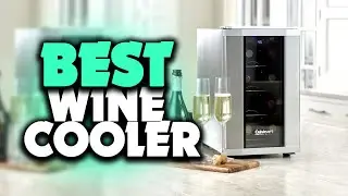 Best Wine Coolers in 2021 -Large Freestanding Wine Cellar For Red,White, Champagne or Sparkling Wine