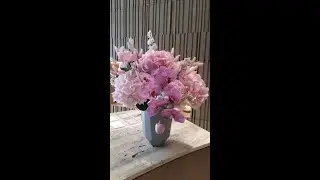 Silent Live Stream - First timer