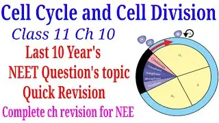 Cell cycle and cell division class 11 quick revision for NEET exam