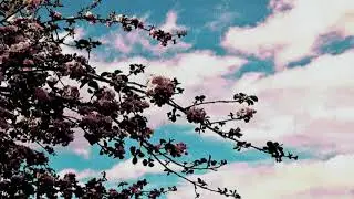 [FREE] Indie Rock X No Vacation X Jaden Smith X Bedroom X Wallows Type Beat - 