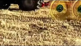 china two  sides 3 point link hay rake