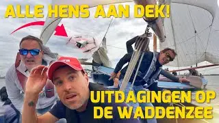 ALLE HENS AAN DEK! UITDAGINGEN OP DE WADDENZEE! #257