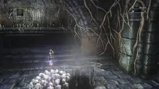 Bloodborne Platinum Run