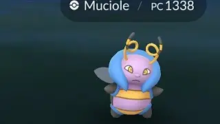 pokemon go Muciole shiny✨