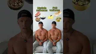 MUSKELN AUFBAUEN vs. FETT VERLIEREN