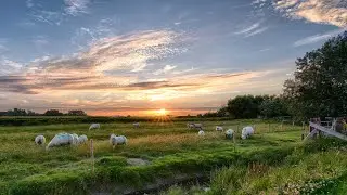 Relaxing Music Healing Stress, Anxiety and Depression States, Heal Mind, Body and Soul Calming Music