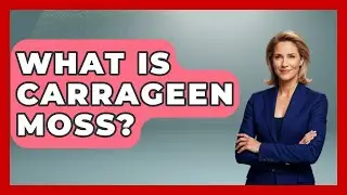 What Is Carrageen Moss? - Europe Travel Pros