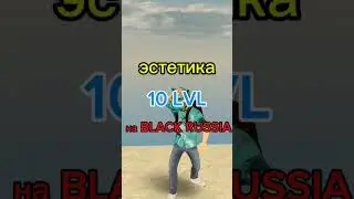 эстетика 10 LVL на BLACK RUSSIA (подпишись) #blackrussiatipsandtricks #блекраша #crmp #gta