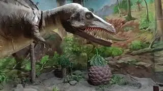 Science museum Bangalore